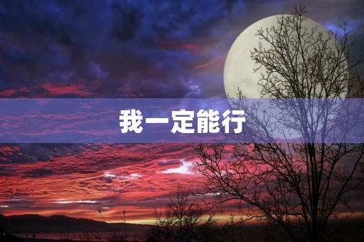我一定能行 我一定能行