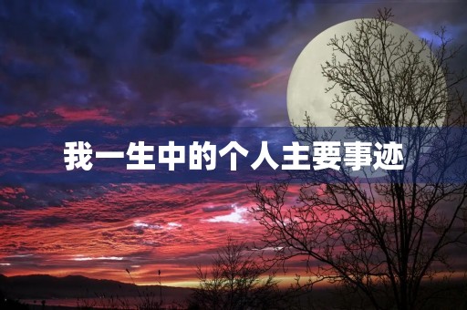我一生中的个人主要事迹
