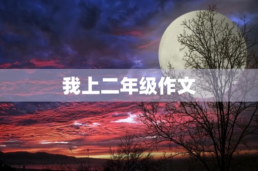 我上二年级作文