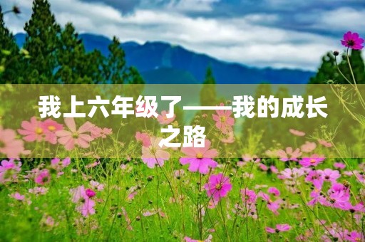 我上六年级了——我的成长之路