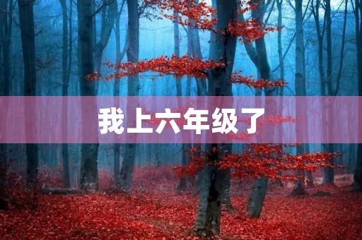 我上六年级了，这是我该有的样子