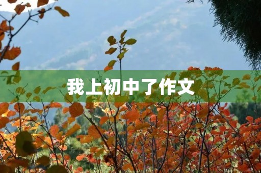 我上初中了作文 我上初中了作文