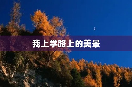 我上学路上的美景 我上学路上的美景