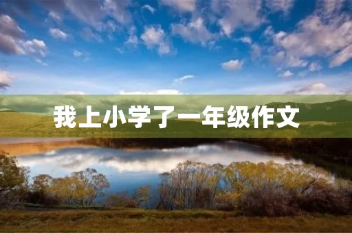 我上小学了一年级作文 我上小学了一年级作文