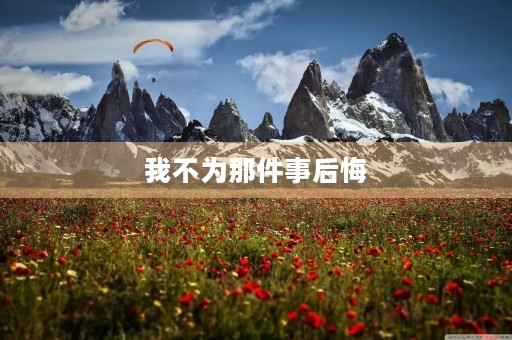 我不为那件事后悔 我不为那件事后悔