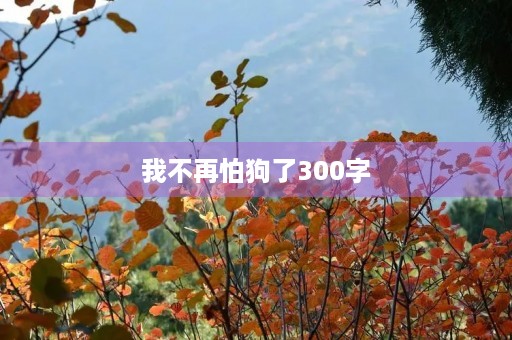 我不再怕狗了300字