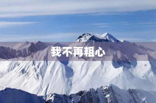 我不再粗心 我不再粗心