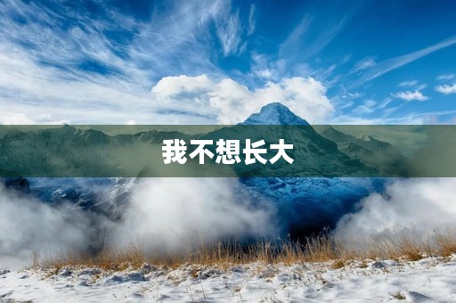我不想长大 我不想长大