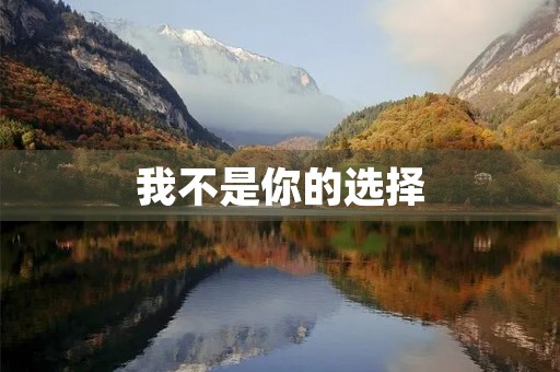 我不是你的选择，但你是我的伤感日志