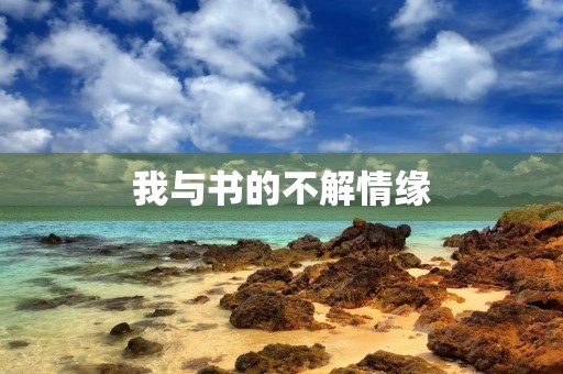 我与书的不解情缘 我与书的不解情缘