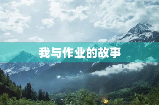 我与作业的故事