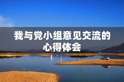 我与党小组意见交流的心得体会