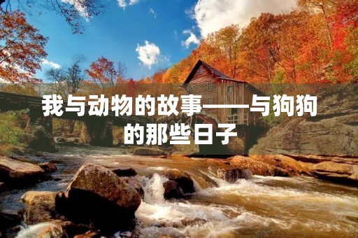 我与动物的故事——与狗狗的那些日子 我与动物的故事——与狗狗的那些日子