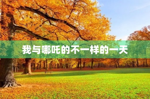 我与哪吒的不一样的一天 我与哪吒的不一样的一天