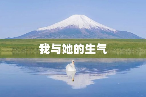 我与她的生气
