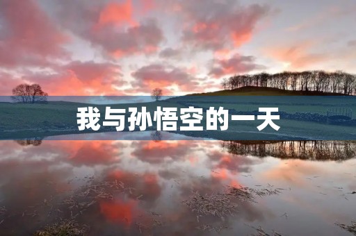 我与孙悟空的一天