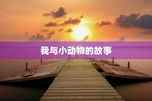 我与小动物的故事 我与小动物的故事