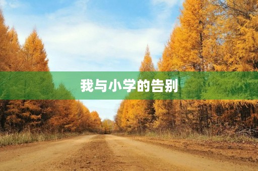 我与小学的告别 我与小学的告别