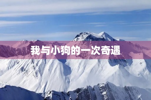 我与小狗的一次奇遇