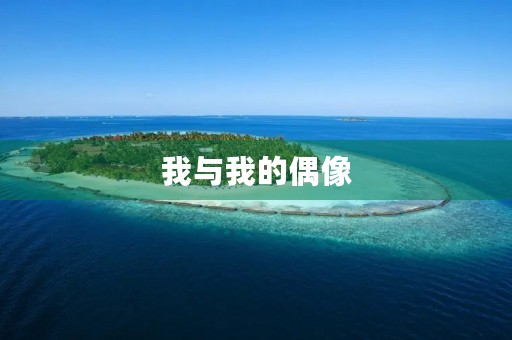 我与我的偶像 我与我的偶像