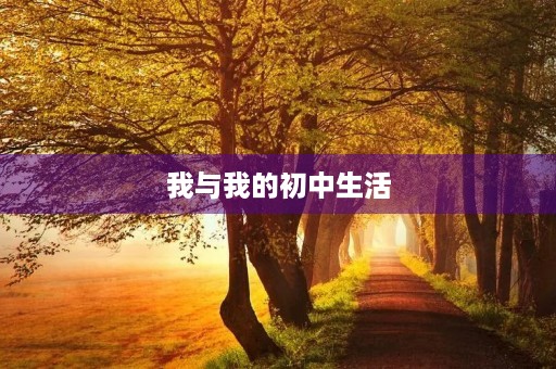 我与我的初中生活