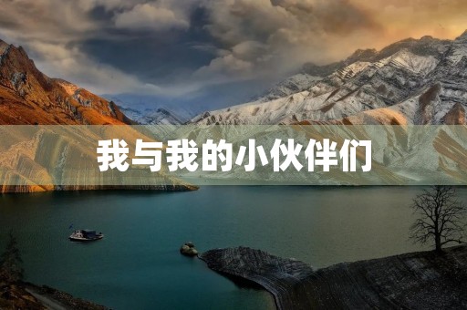 我与我的小伙伴们