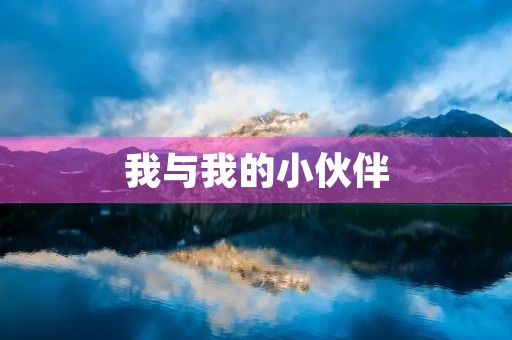 我与我的小伙伴