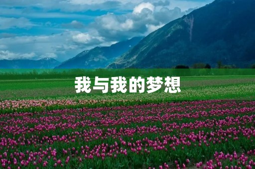 我与我的梦想 我与我的梦想