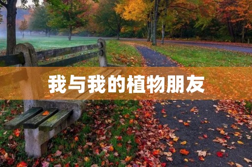 我与我的植物朋友 我与我的植物朋友