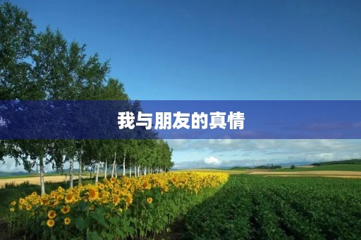 我与朋友的真情 我与朋友的真情