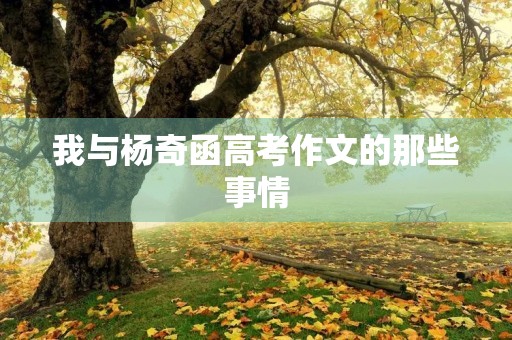 我与杨奇函高考作文的那些事情