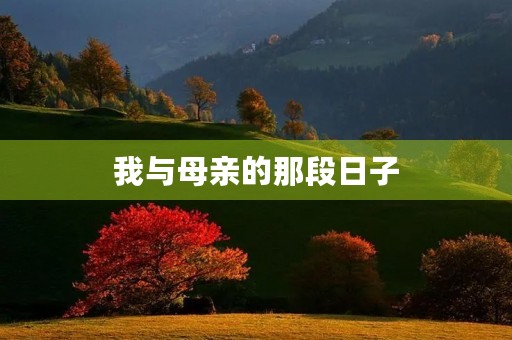 我与母亲的那段日子 我与母亲的那段日子
