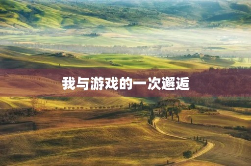 我与游戏的一次邂逅