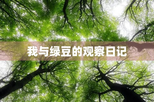 我与绿豆的观察日记