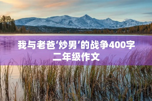 我与老爸‘炒男’的战争400字二年级作文