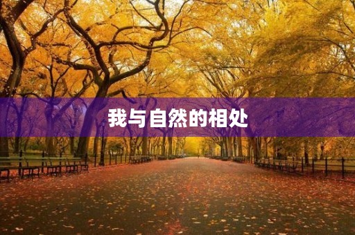我与自然的相处