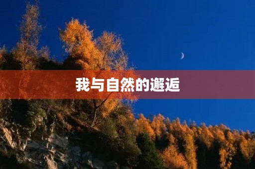 我与自然的邂逅