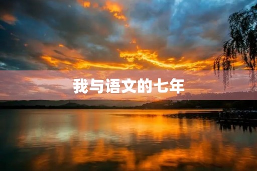 我与语文的七年