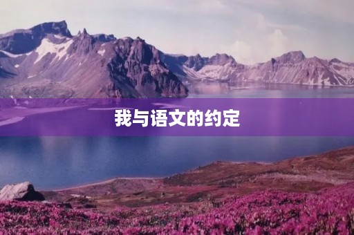 我与语文的约定 我与语文的约定