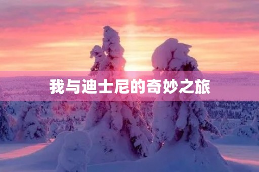 我与迪士尼的奇妙之旅