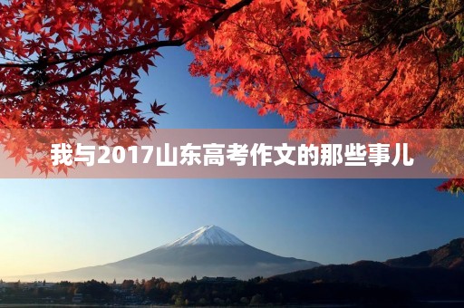 我与2017山东高考作文的那些事儿