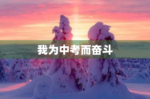我为中考而奋斗 我为中考而奋斗