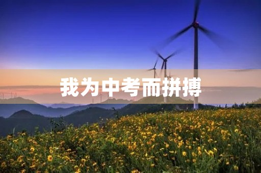 我为中考而拼搏 我为中考而拼搏