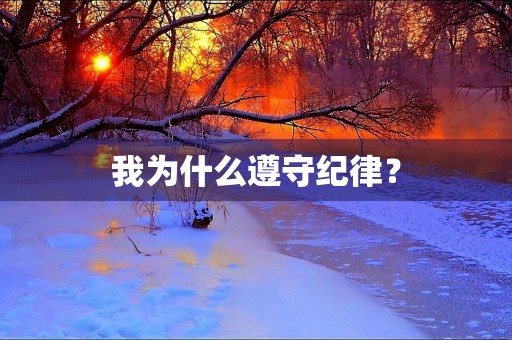 我为什么遵守纪律？
