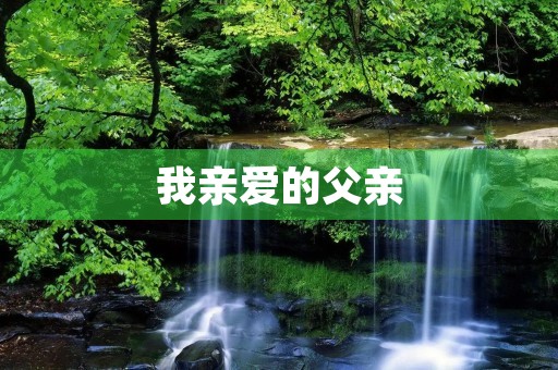 我亲爱的父亲 我亲爱的父亲