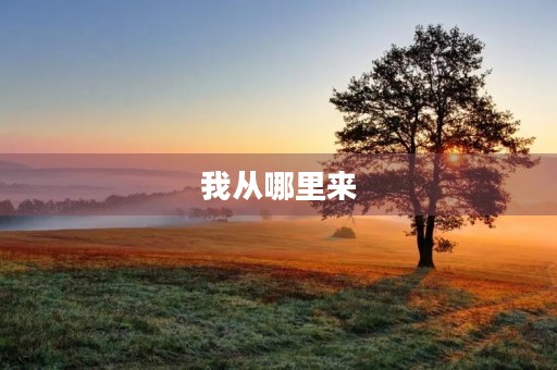 我从哪里来