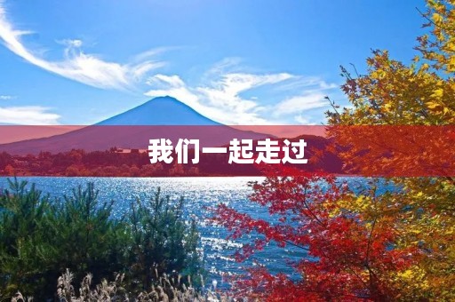 我们一起走过 我们一起走过