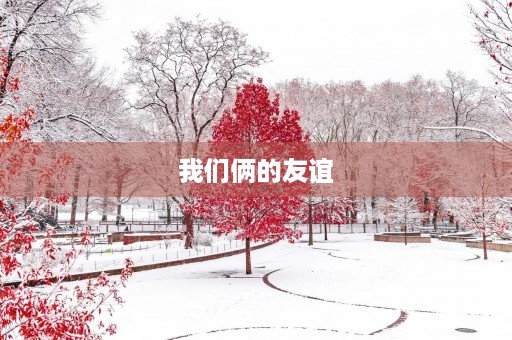 我们俩的友谊