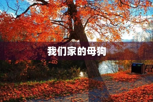 我们家的母狗 我们家的母狗