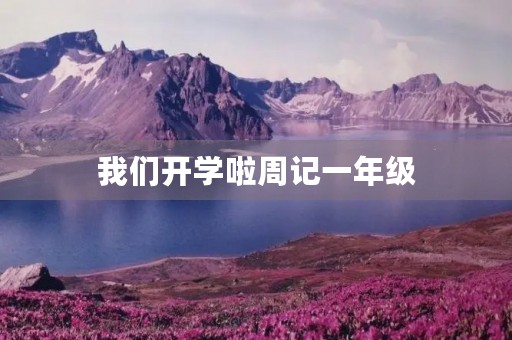 我们开学啦周记一年级 我们开学啦周记一年级